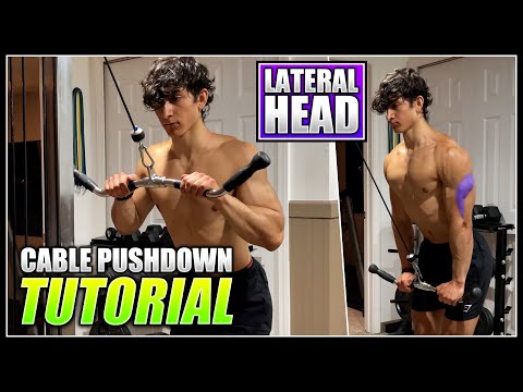 How to do the CABLE TRICEP PUSHDOWN! | 2 Minute Tutorial