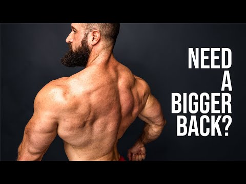 Best Back Exercises Ranked (TOP 7 FOR BUILDING MUSCLE!)