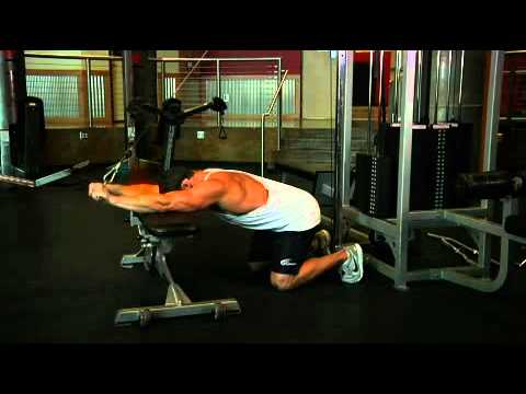 Kneeling Cable Triceps Extension Exercise Guide and Video