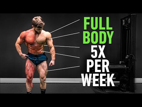 Full Body 5x Per Week: Why High Frequency Training Is So Effective