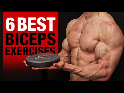 6 BEST Biceps Exercises (DON’T SKIP THESE!!)