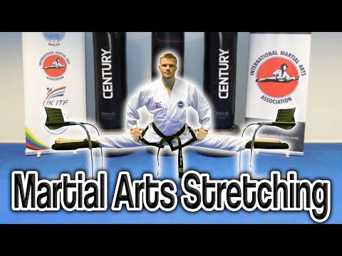 Martial Arts Stretching (Get High Kicks/Splits) | GNT Tutorial
