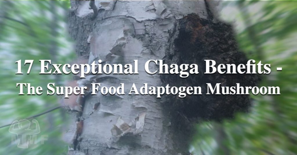These mushrooms can boost your immune system, reduce inflammation, fight free radicals, and manage the effects of diabetes.  These are just a few of the 17 Chaga benefits we found.