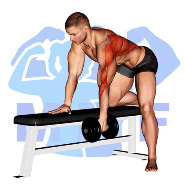 Man performing single-arm dumbbell row with MuscleMagFitness logo background.