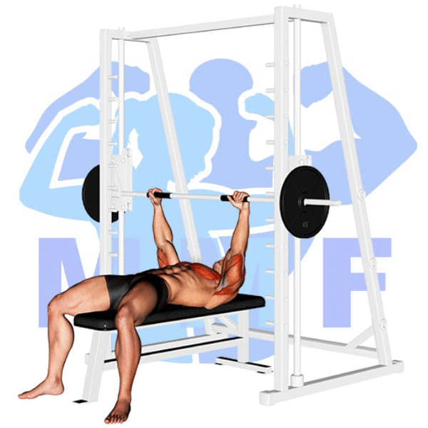43 Comfortable Is smith machine effective for bench press Workout at Home