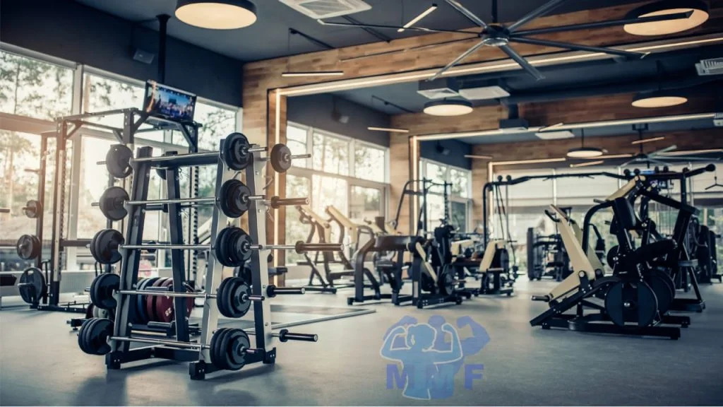 The Best Way of Choosing a Gym, beautiful gym with free weights and cardio equipment.