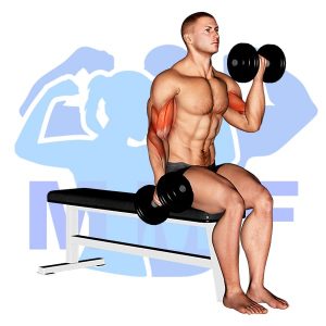 Graphic image of Alternating Dumbbell Curls.