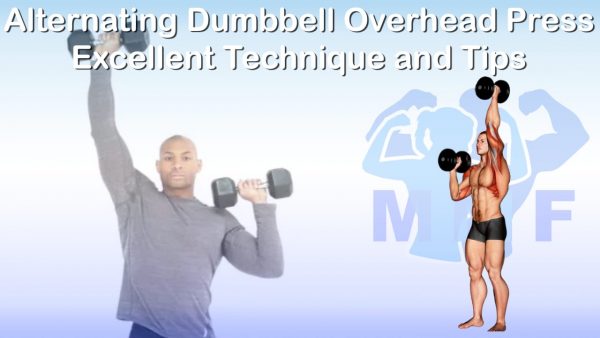 Alternating Dumbbell Overhead Press Excellent Technique And Tips