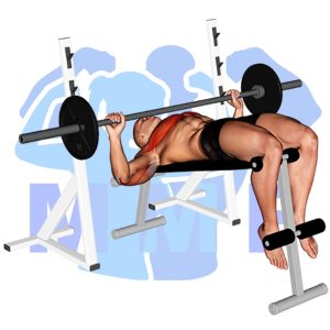 Graphic image of Barbell Decline Wide Grip Press.