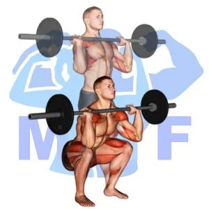 Graphic image of Barbell Front Squat Clean Grip.