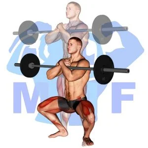 Graphic image of Barbell Front Sumo Squat.