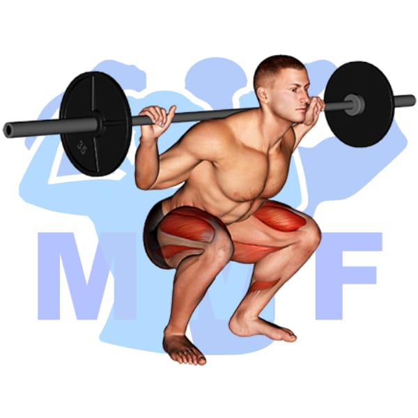 Barbell Low Bar Squat Exercise - Your Quick Guide To Proper From