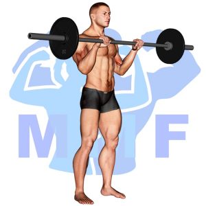 Graphic image of Barbell Reverse Curl.