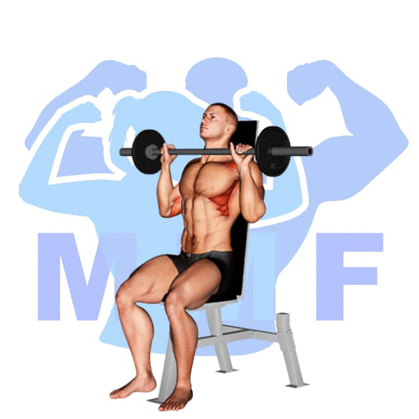 Barbell Seated Bradford Rocky Press Exercise - Effective Shoulder Exercise