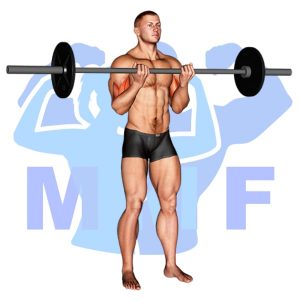 Graphic image of Barbell Standing Close Grip Curl.