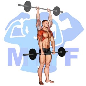 Graphic image of Barbell Standing Front Raise Over Head.