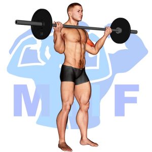 Graphic image of Barbell Standing Wide Grip Biceps Curl.