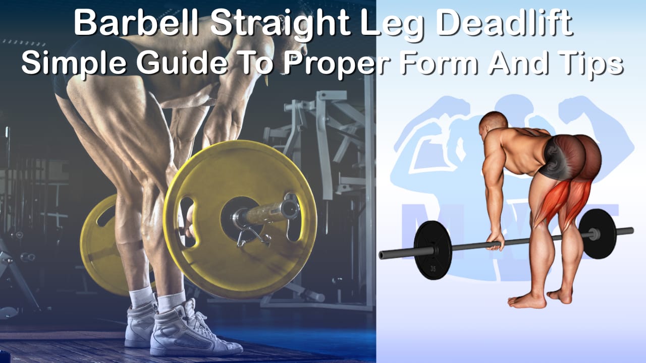 Barbell Straight Leg Deadlift Simple Guide To Proper Form And Tips