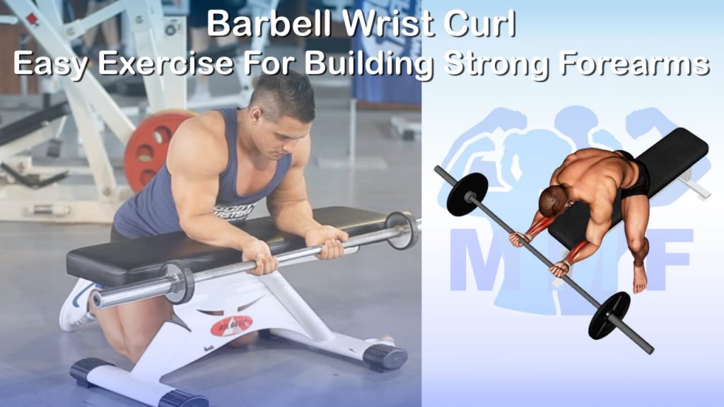 Barbell Wrist Curl Easy Exercise For Building Strong Forearms