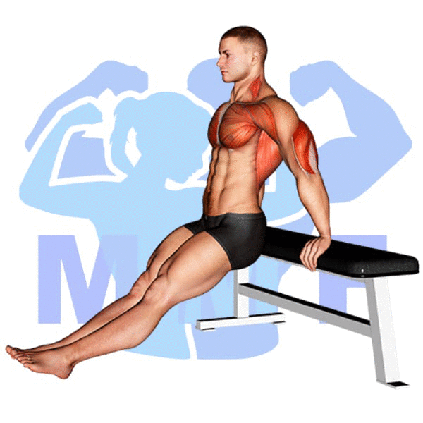 Graphic image of a muscular man performing Bench Dip.