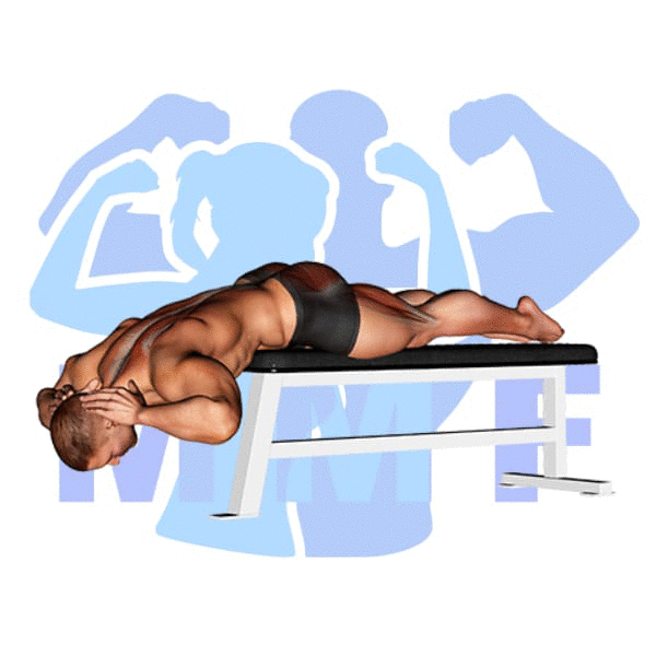Graphic image of a muscular man performing Bench Hyperextension.