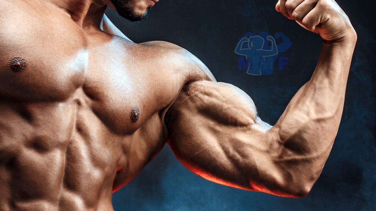 6 Best Biceps Exercises For Massive Bicep Growth and Strength