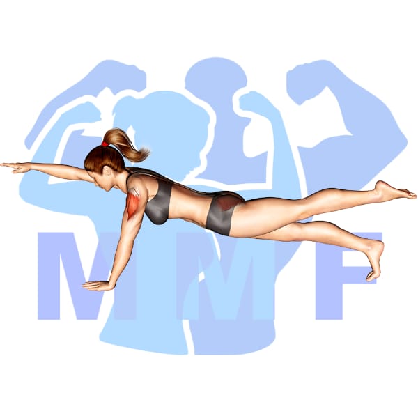 Graphic image of a fit woman performing Bird Dog Plank.