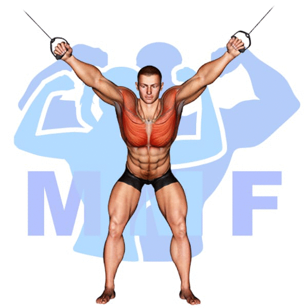 Graphic image of a muscular man performing Cable Crossover Flys.