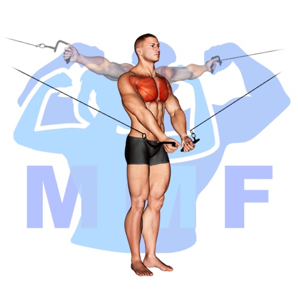 Cable Crossover Flys Your HowTo Guide With Must Do Tips