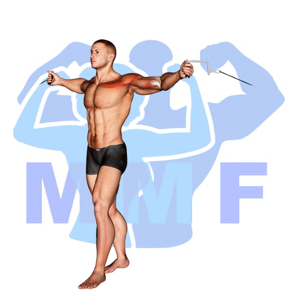 Graphic image of a muscular man performing Cable Incline Fly.