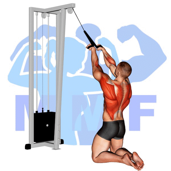 Graphic image of a muscular man performing Cable Rope Face Pull.