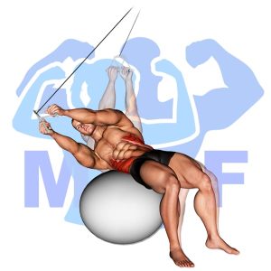 Graphic image of Cable Stability Ball Russian Twists.
