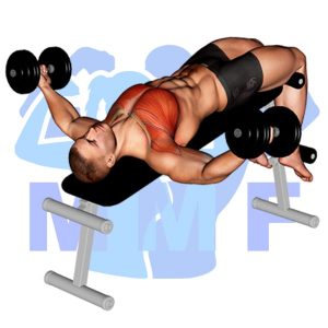 Graphic image of Decline Dumbbell Fly.