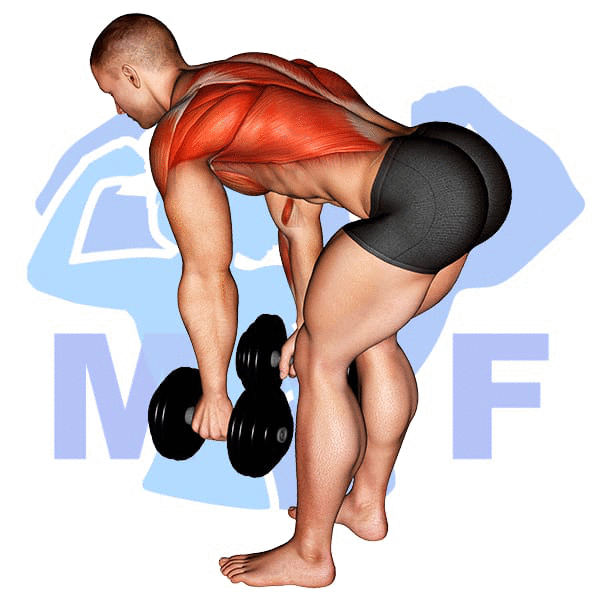 Man Performing Dumbbell Bent Over Row