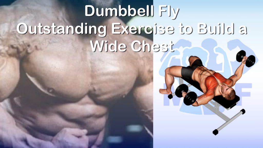 Dumbbell Fly - Outstanding Exercise to Build a Wide Chest