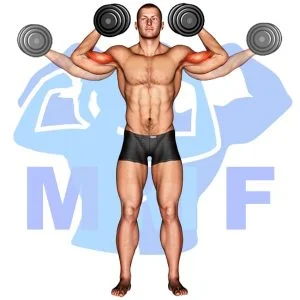 Graphic image of Dumbbell High Curl.
