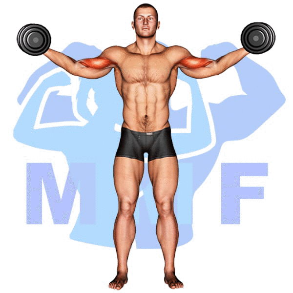 Man Performing Dumbbell High Curl