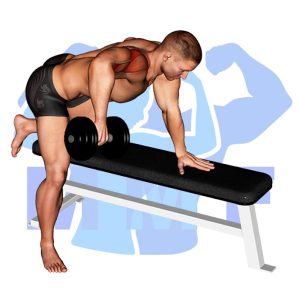 Graphic image of Dumbbell One Arm Row.