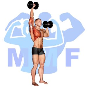 Graphic image of Dumbbell One Arm Shoulder Press.