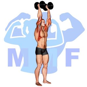 Graphic image of Dumbbell Palms In Shoulder Press.