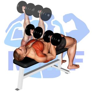 Graphic image of Dumbbell Reverse Grip Bench Press.
