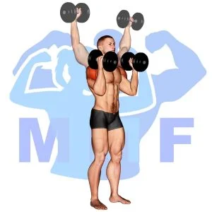 Graphic image of Dumbbell W Press.