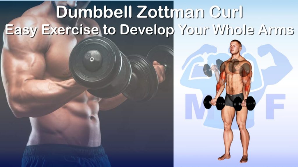 Dumbbell Zottman Curl Easy Exercise to Develop Your Whole Arms