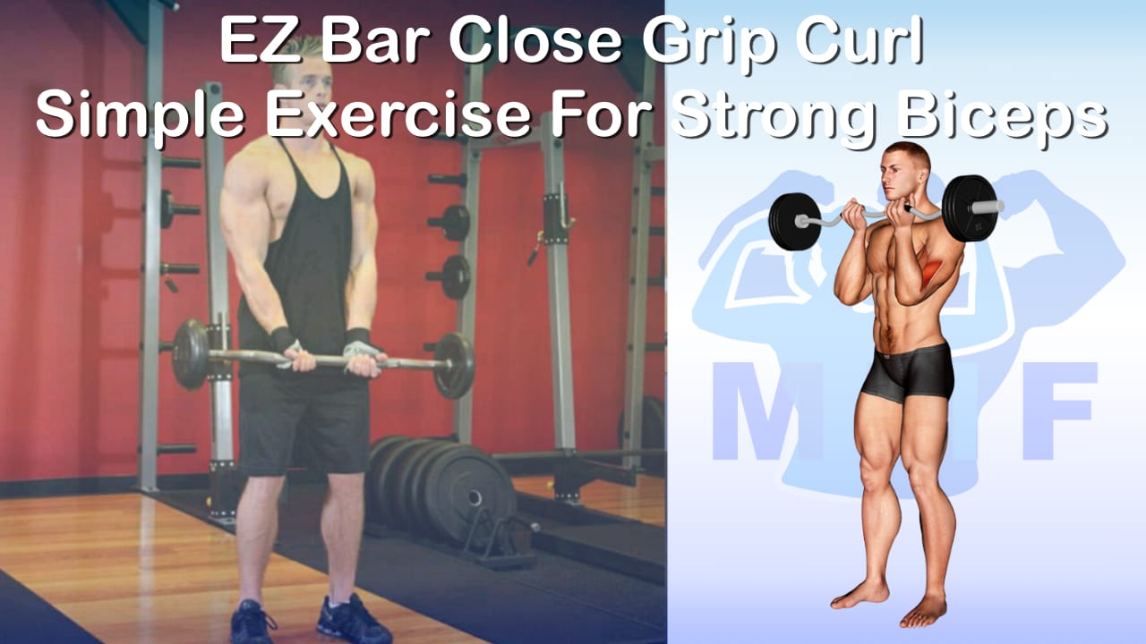 EZ Bar Close Grip Curl Simple Exercise For Strong Biceps