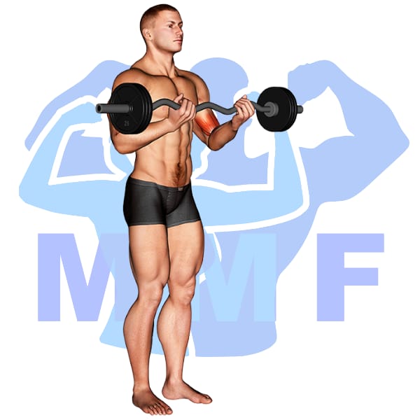 EZ Bar Standing French Press A Great Way To Build Your Triceps