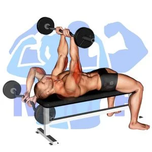 Graphic image of EZ Bar Lying Close Grip Triceps Extension Behind Head.