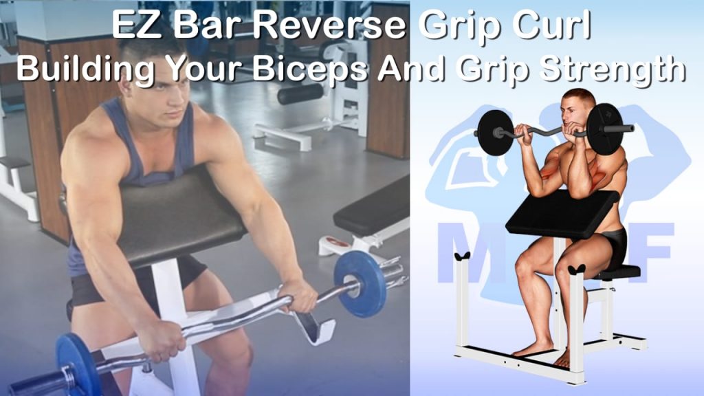 EZ Bar Reverse Grip Preacher Curl A Easy Way To Improve Your Grip