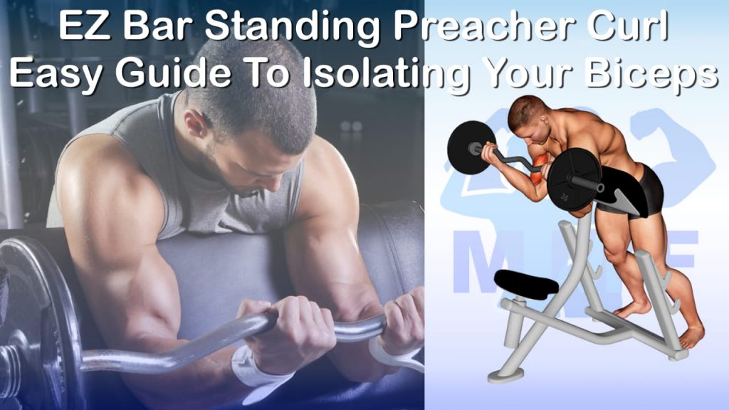 EZ Bar Standing Preacher Curl Easy Guide To Isolating Your Biceps
