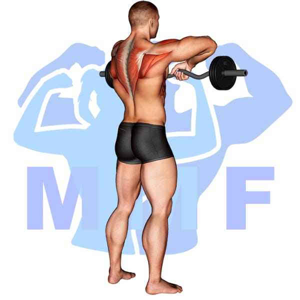 Dumbbell Upright Row Your Quick How To Guide For Proper Form