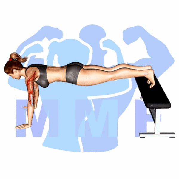 Graphic image of a fit woman performing Feet Elevated Push Up.